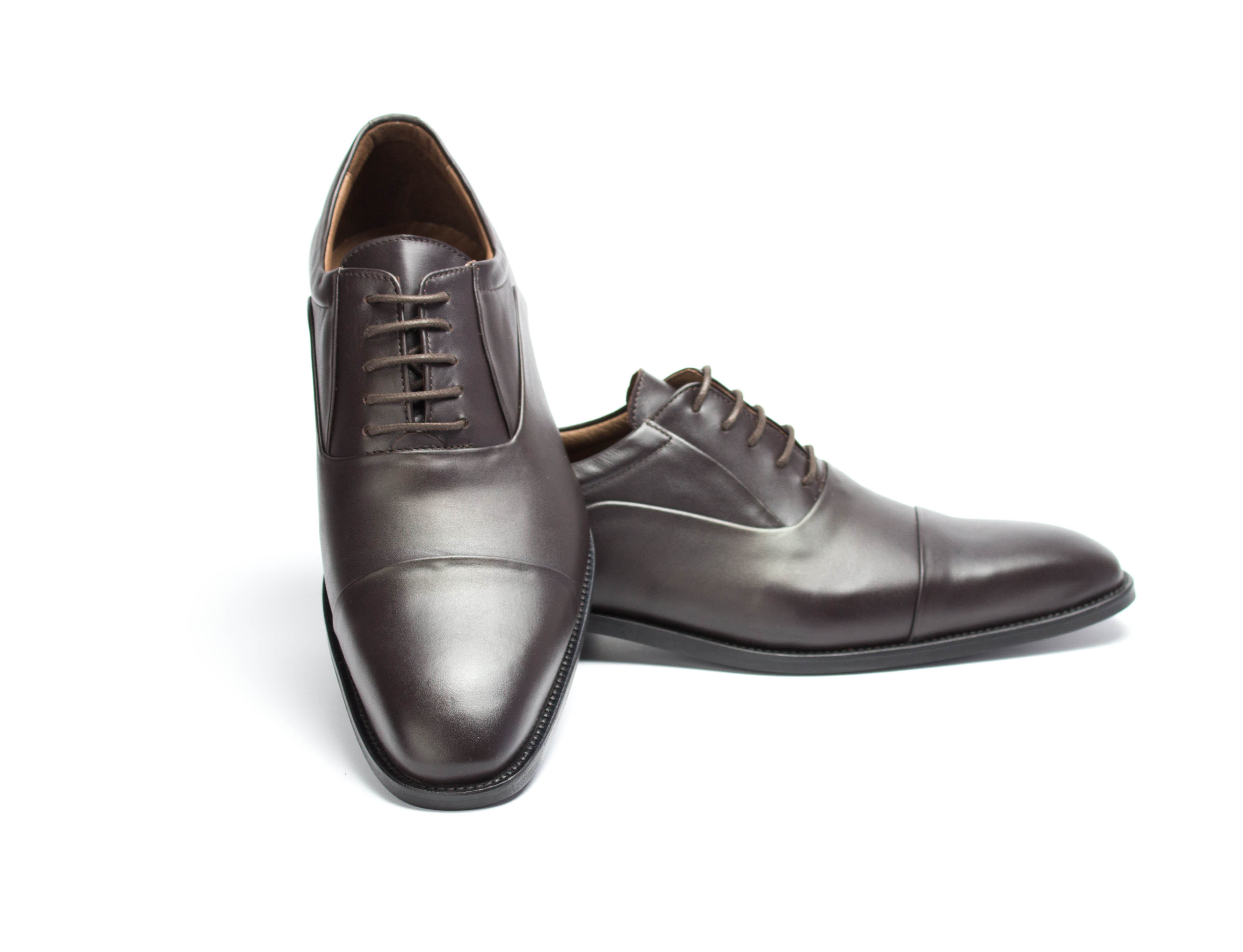 Oxford Herrenschuhe Darcy schoko